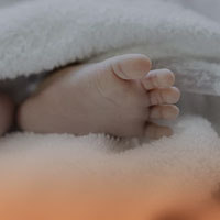 Disney’s Contemporary Resort - bassinet