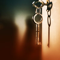 Disney’s Contemporary Resort - safe