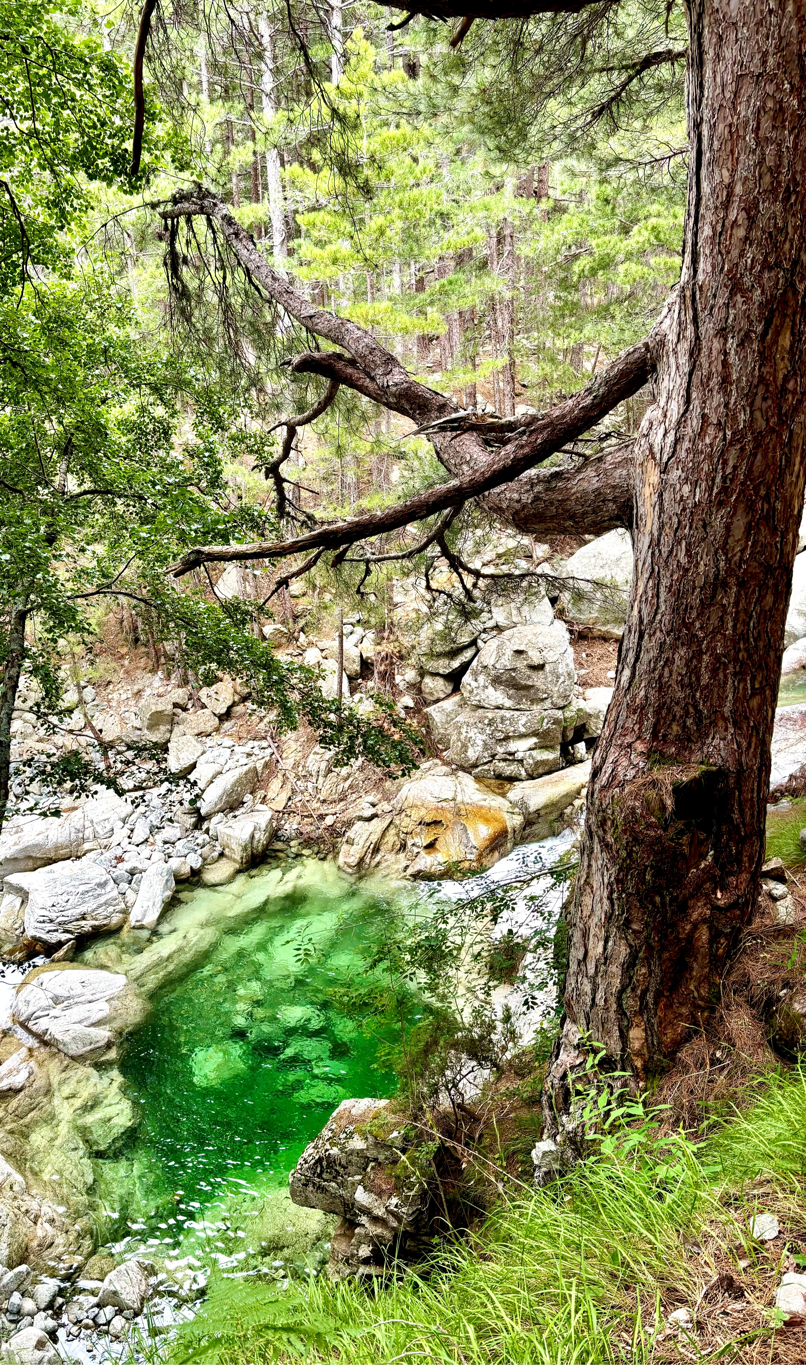 Piscine naturelle du GR20 Piscine naturelle du GR20