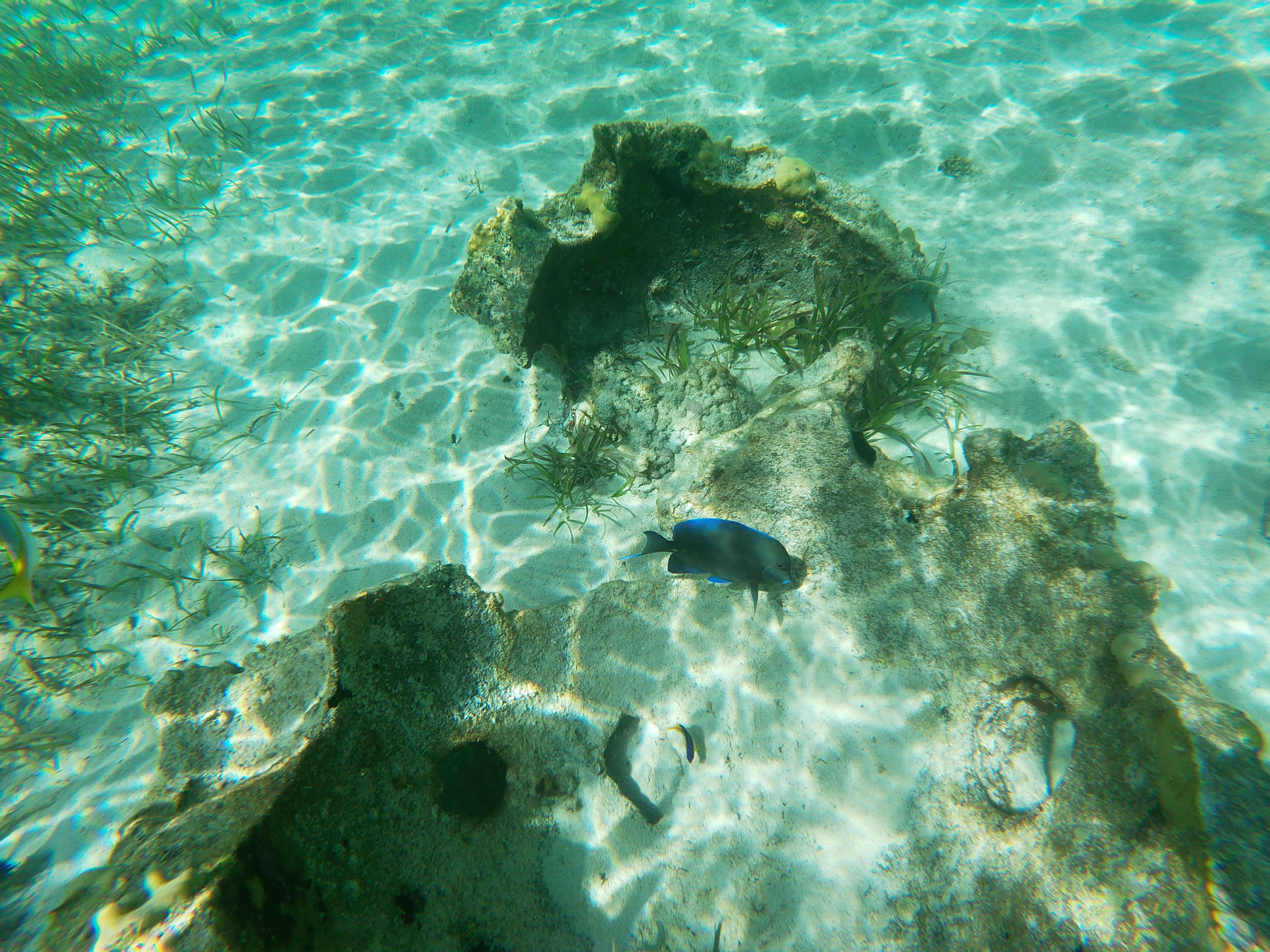 Lagon Lagon
