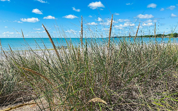 NORTH BEACH NORTH BEACH