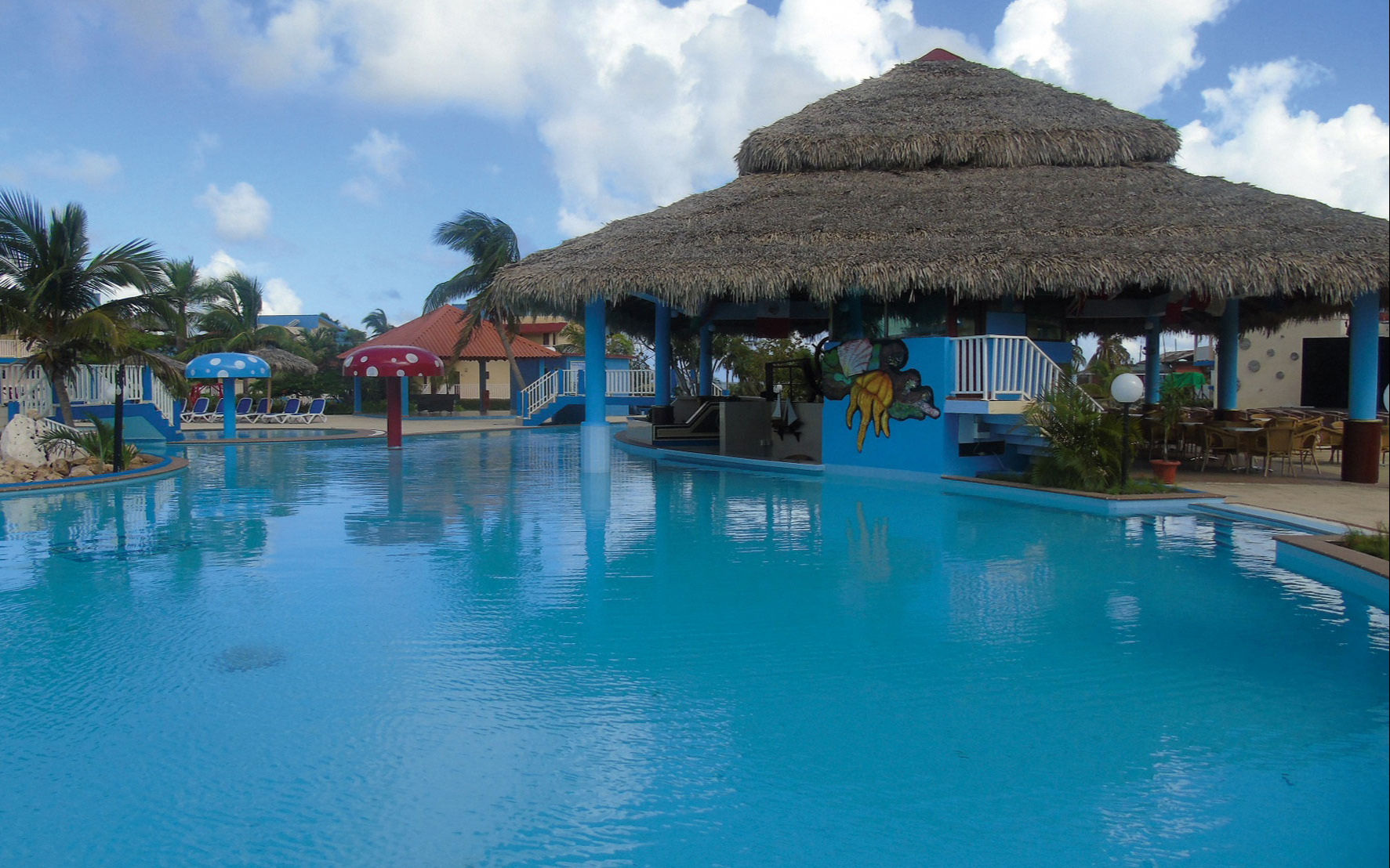 Swiming pool and bar