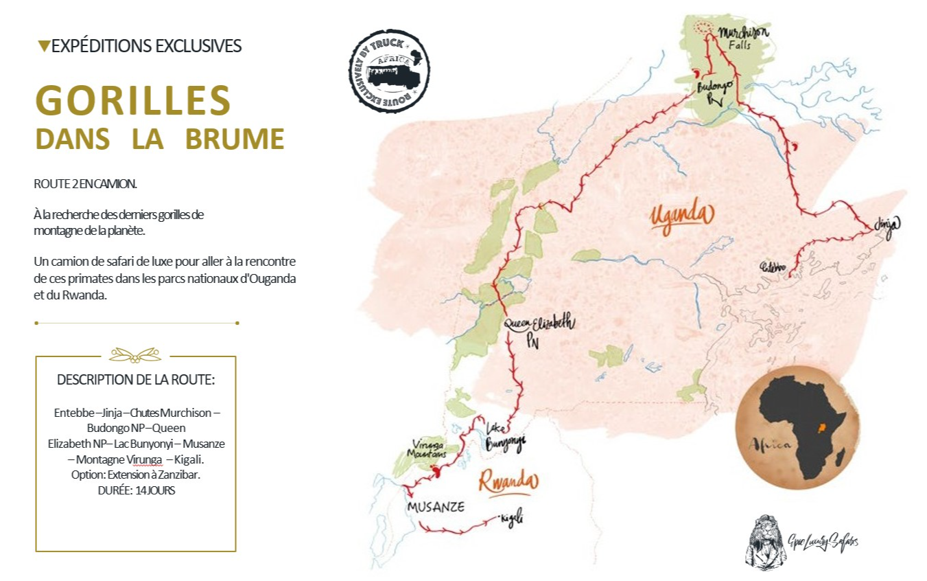 Itinéraire du safari Gorilles dans la brume undefined