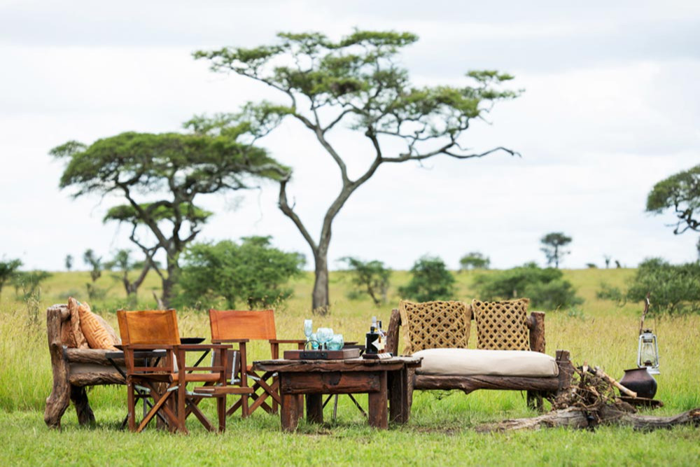 safari safari