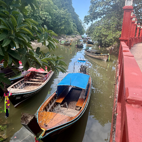 Petite baie undefined
