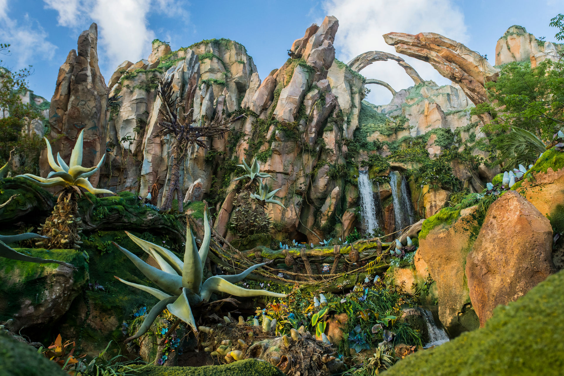 Welcome to Pandora—The World of Avatar