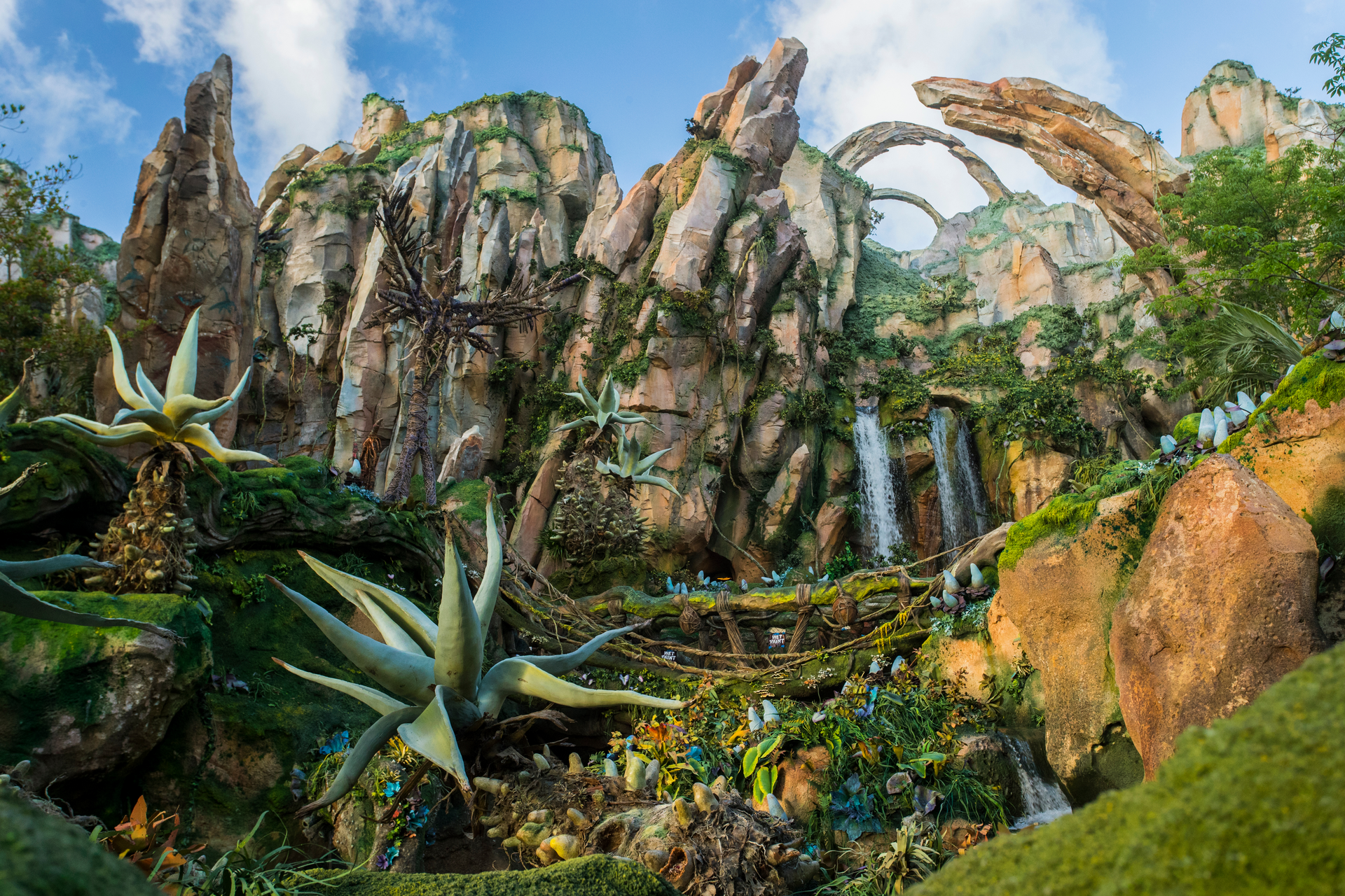 Bienvenue à Pandora—The World of Avatar