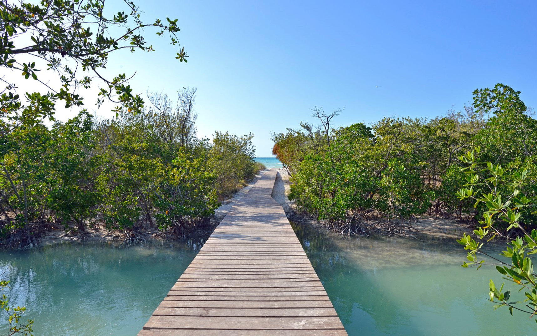 Beach deck