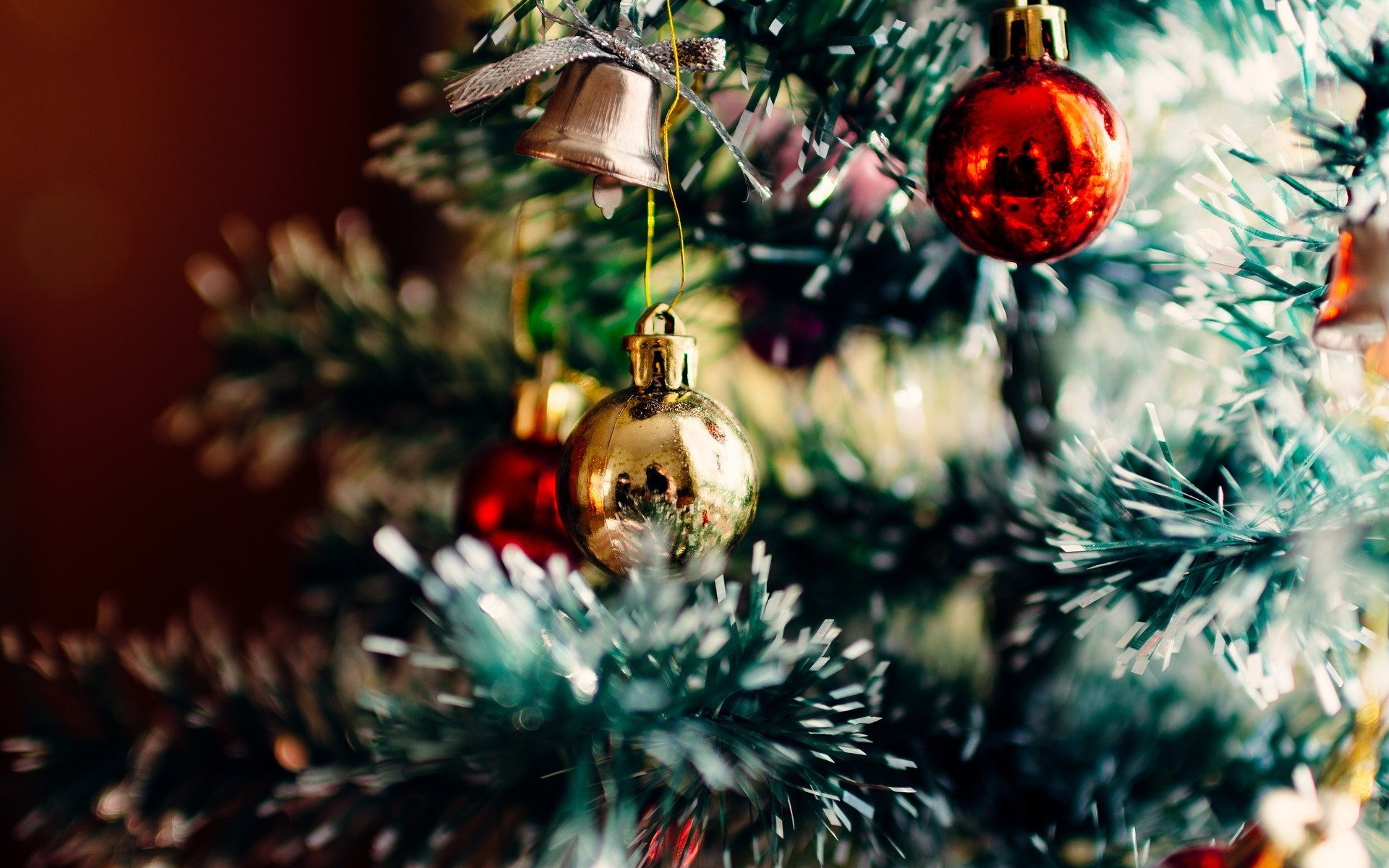 sapin sapin