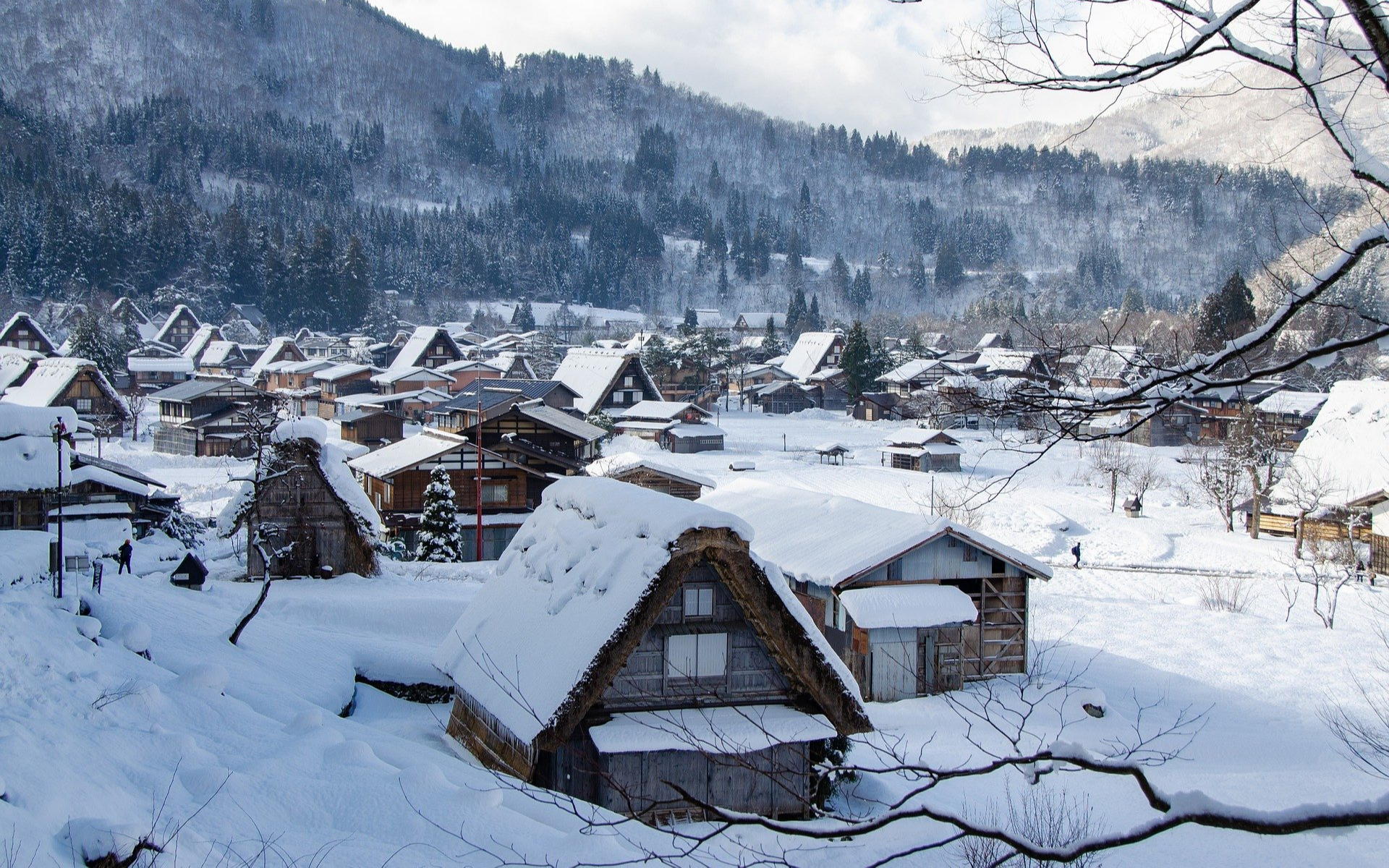 japon japon