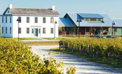 vignoble vignoble