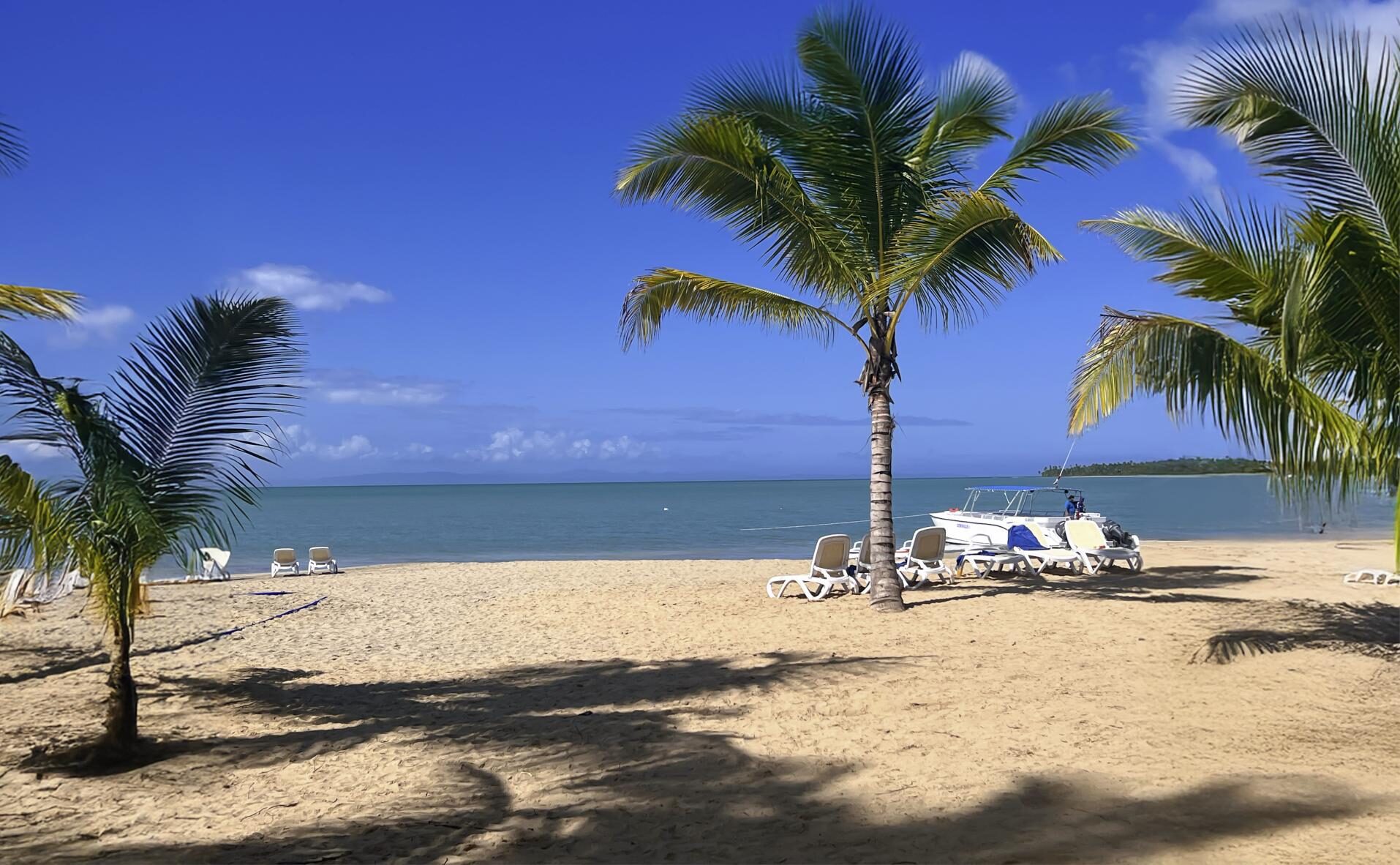 Belle plage au Viva Miches by Wyndham, Punta Cana avec Voyages Aquaterra