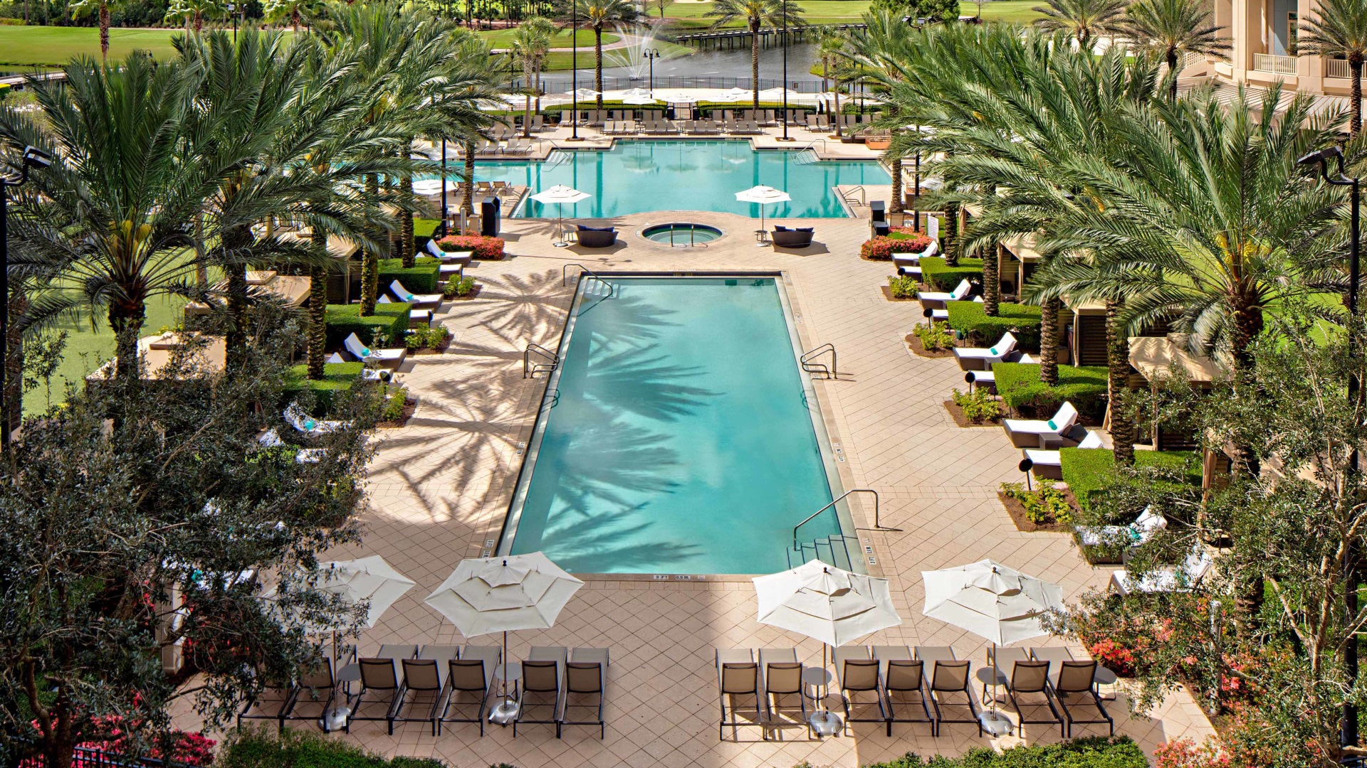 Piscine au Waldorf Astoria Orlando