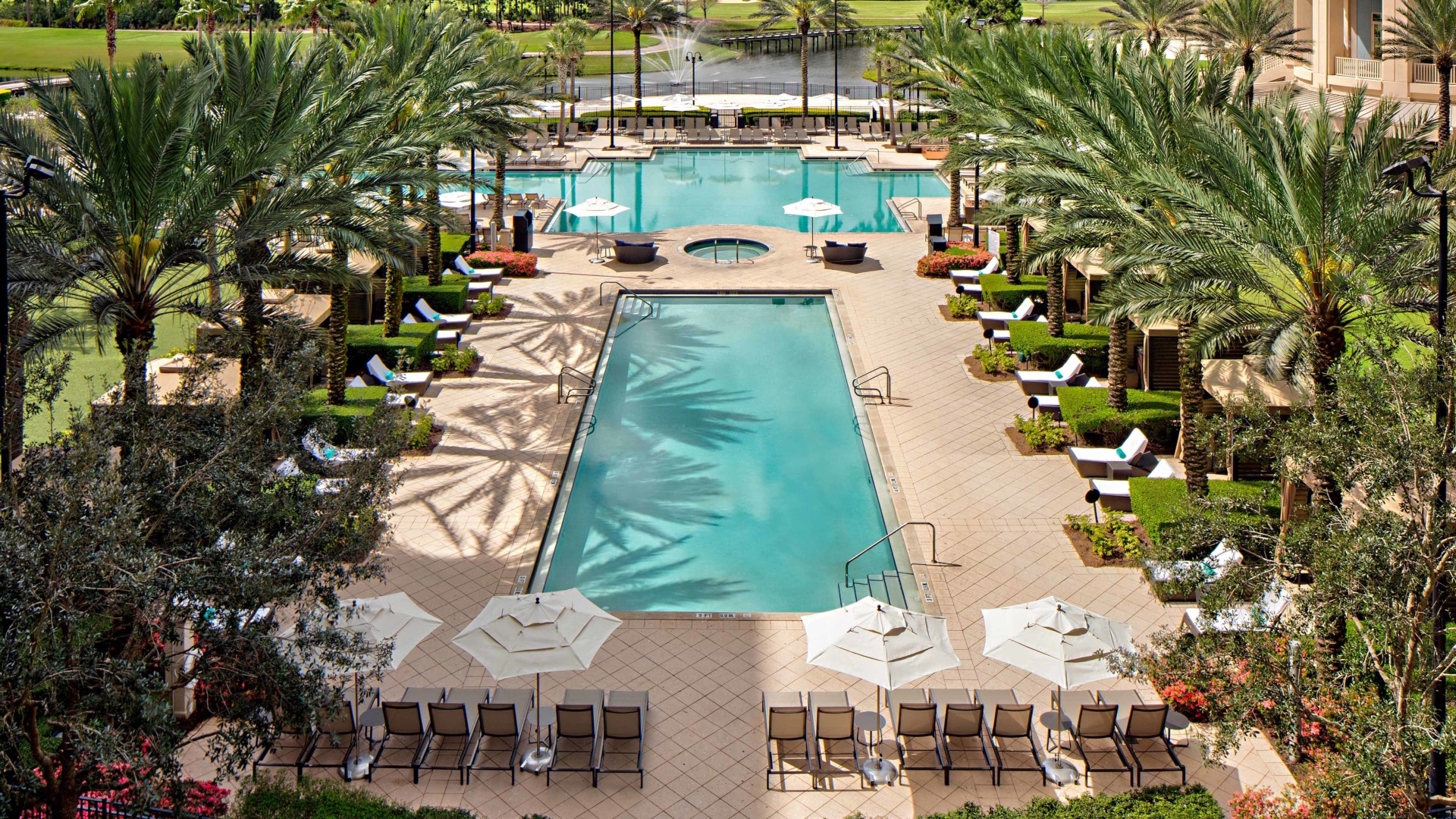 Pool at Waldorf Astoria Orlando